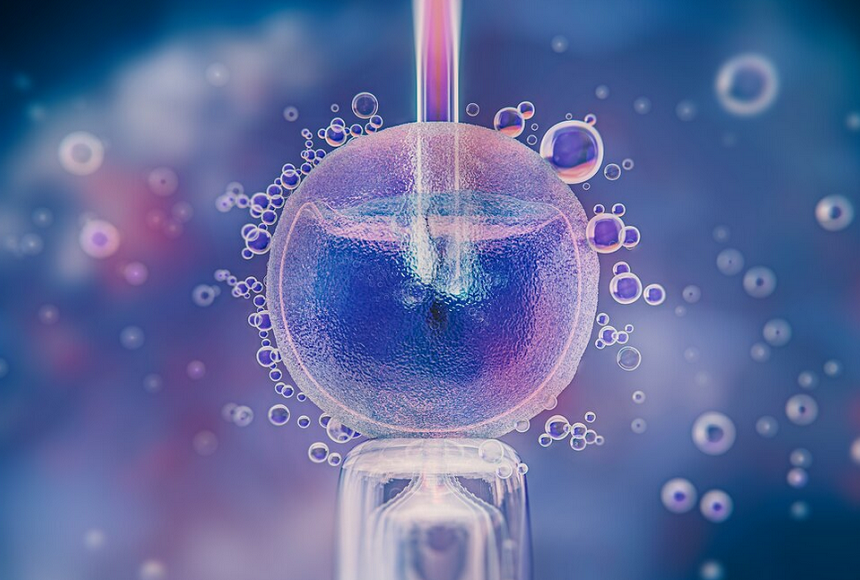 Blastocyst Embryo Transfer Centre in India